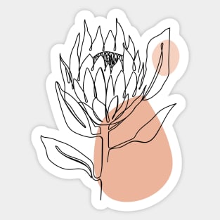 One line protea flower with abstract shapes. Sticker